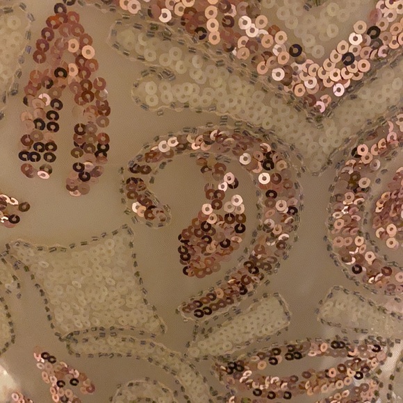 Sequin Top (sheer) - Picture 3 of 8